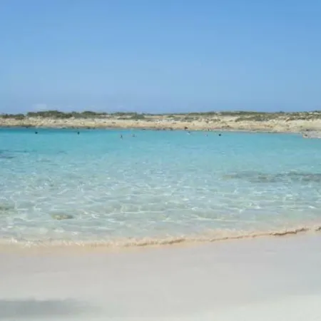 Dolphin * Karpathos